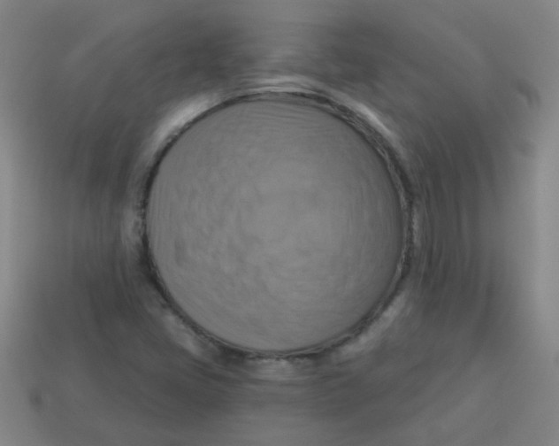 X0000113341405200910131208