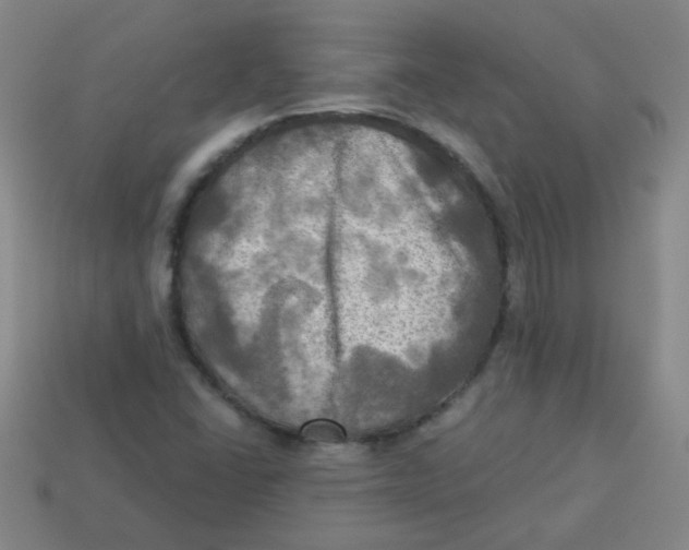 X0000113341406200910131209