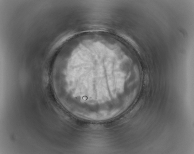 X0000113341407200910131209