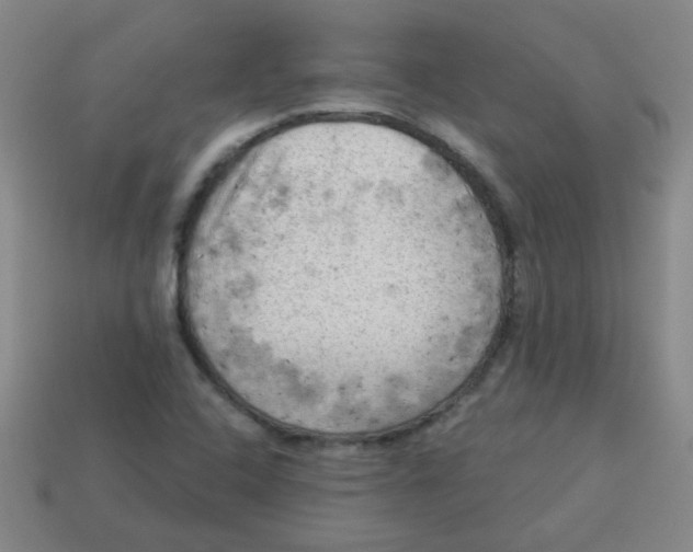 X0000113341408200910131209