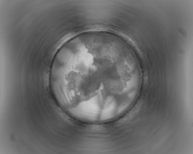 X0000113341409200910131209