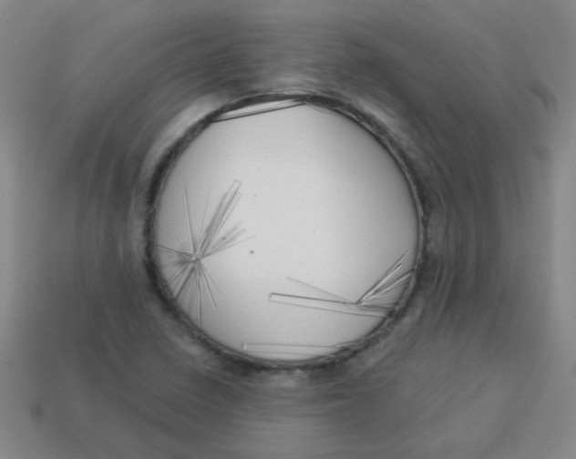 X0000113341410200910131209