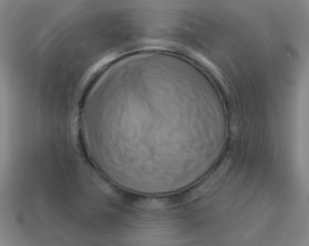X0000113341411200910131209