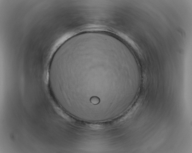 X0000113341413200910131209