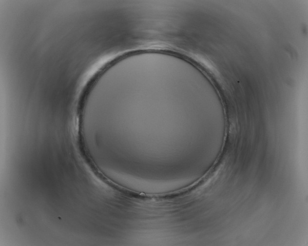 X0000113341414200910131209