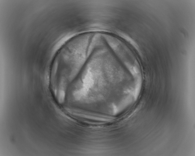 X0000113341415200910131209