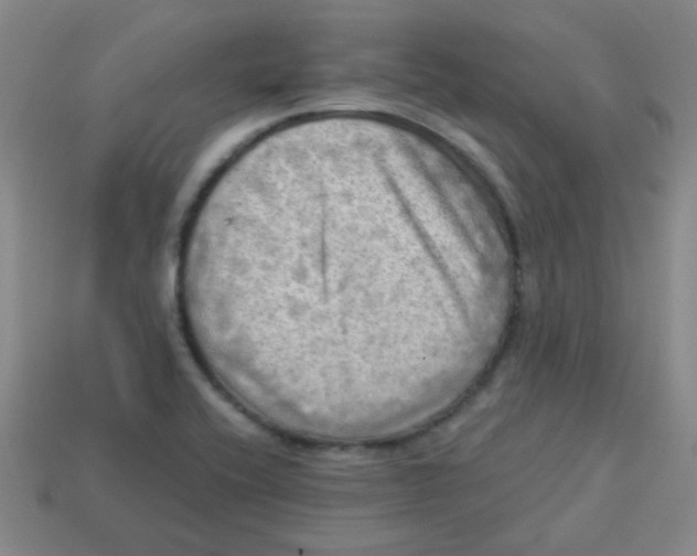 X0000113341416200910131209