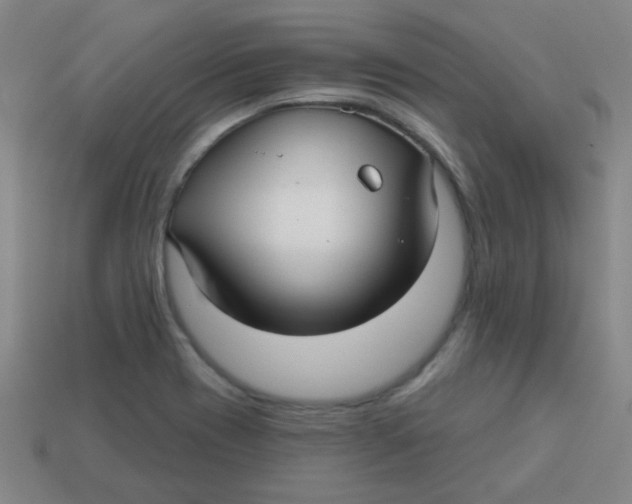 X0000113341417200910131209
