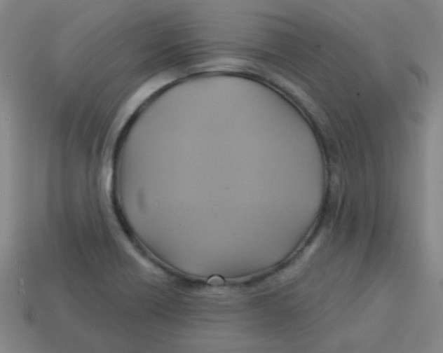X0000113341418200910131209