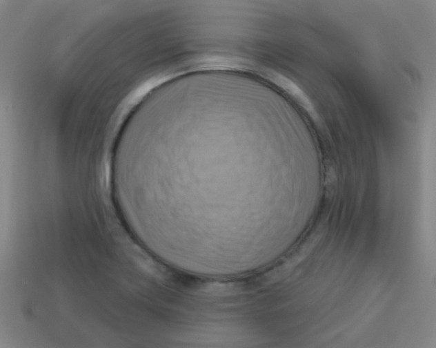 X0000113341419200910131209