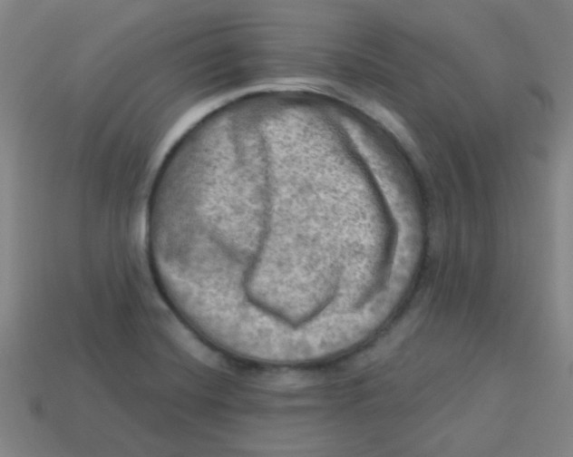 X0000113341420200910131209