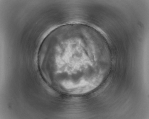 X0000113341423200910131209