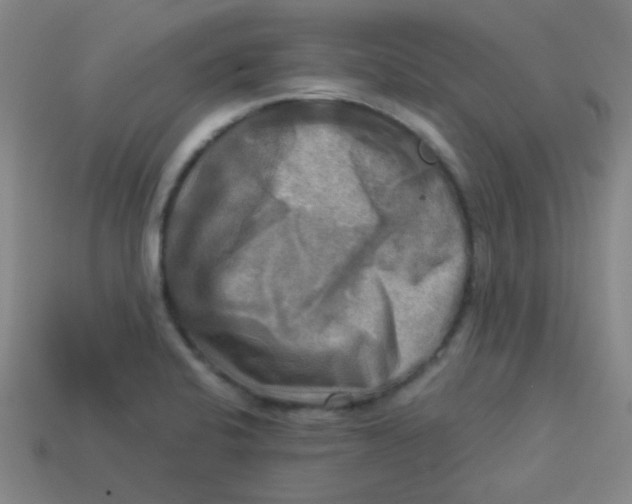 X0000113341424200910131209