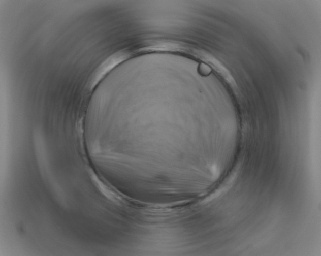 X0000113341425200910131209