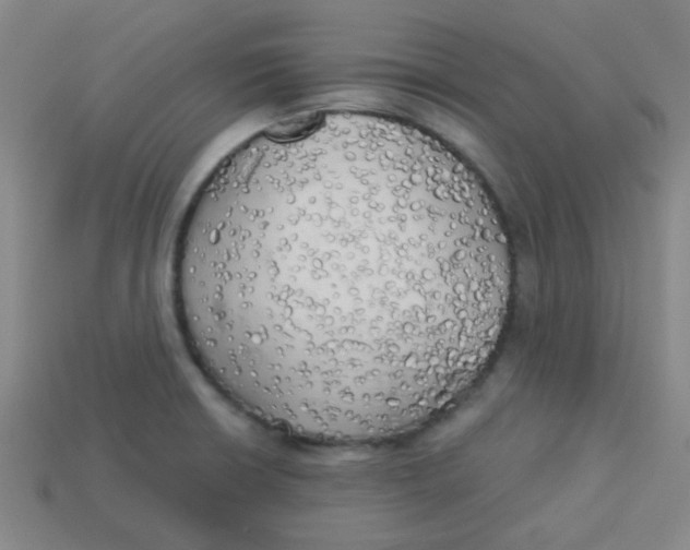X0000113341426200910131209