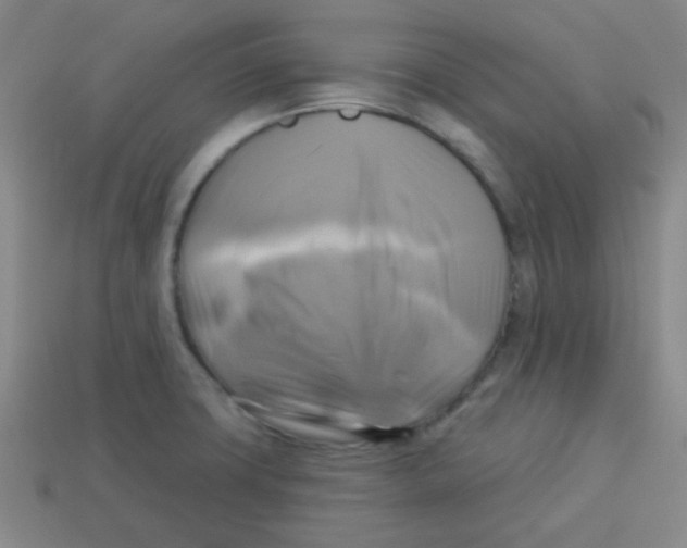 X0000113341427200910131209