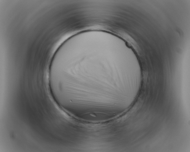 X0000113341428200910131209