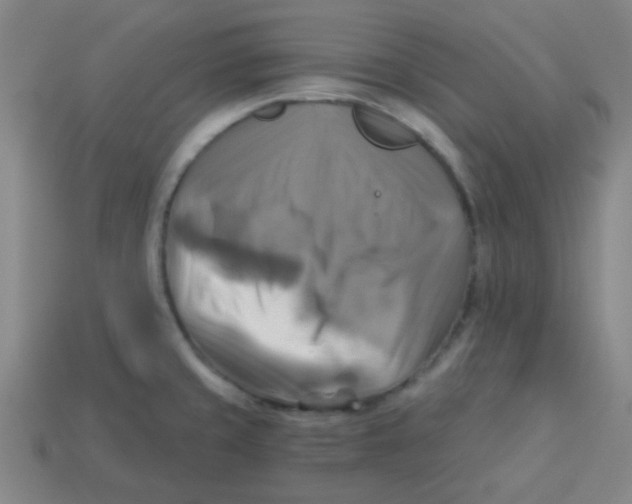 X0000113341429200910131209