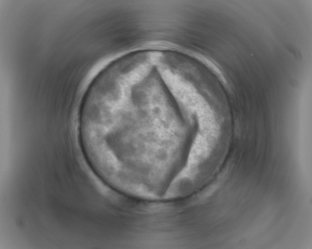 X0000113341430200910131209