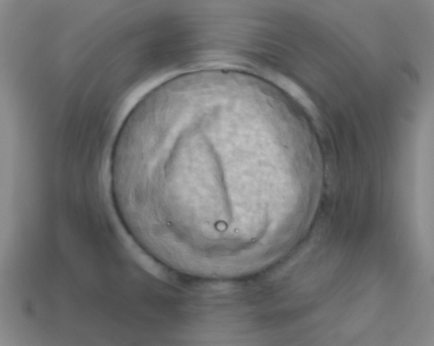X0000113341431200910131209