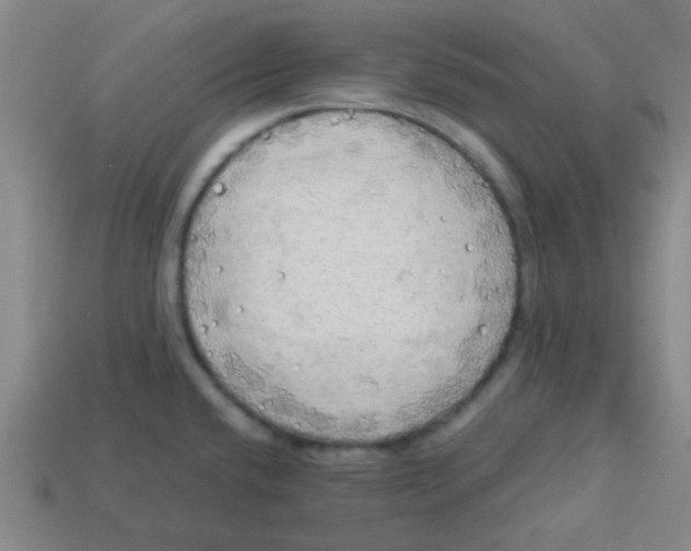 X0000113341432200910131209