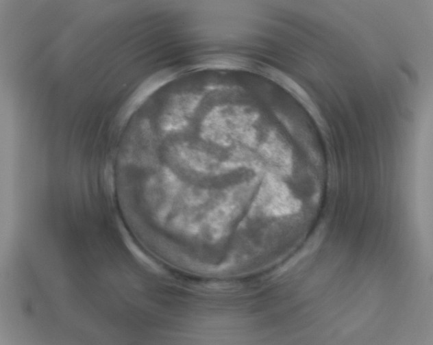 X0000113341433200910131209