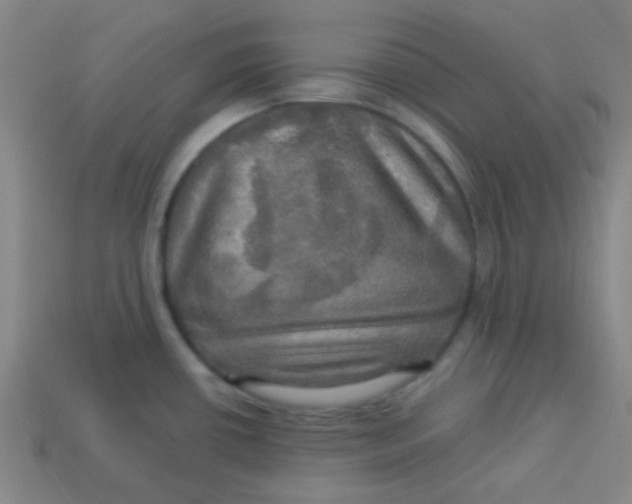 X0000113341434200910131209