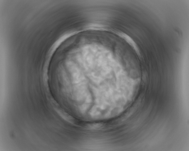 X0000113341435200910131209