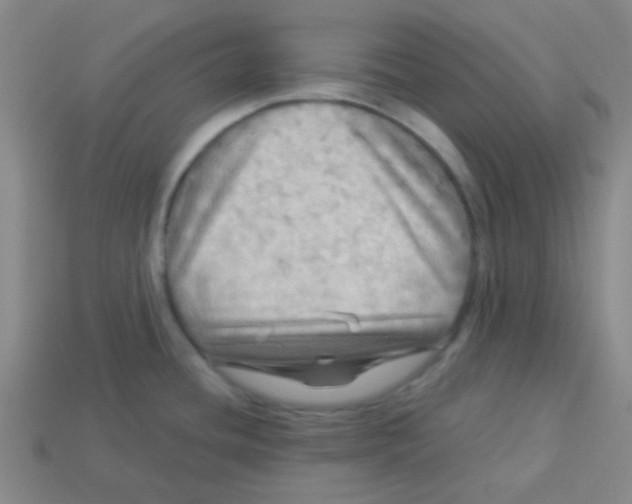 X0000113341436200910131209