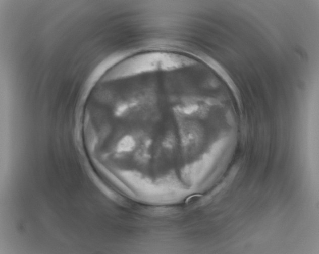 X0000113341437200910131209