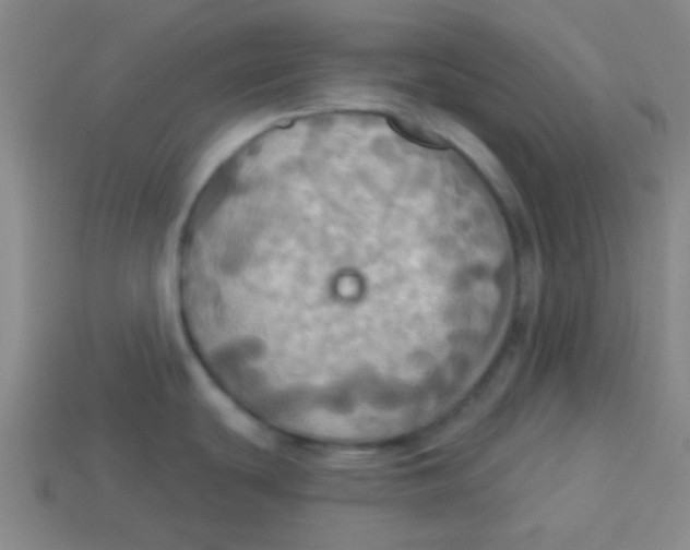 X0000113341439200910131209