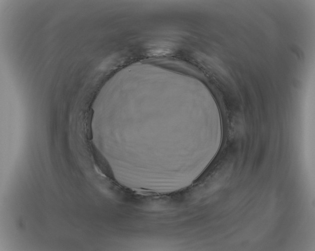 X0000113341441200910131208