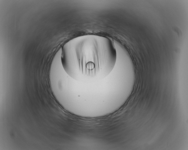 X0000113341444200910131208