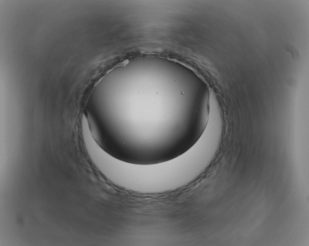 X0000113341445200910131208