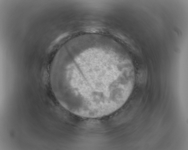 X0000113341446200910131208
