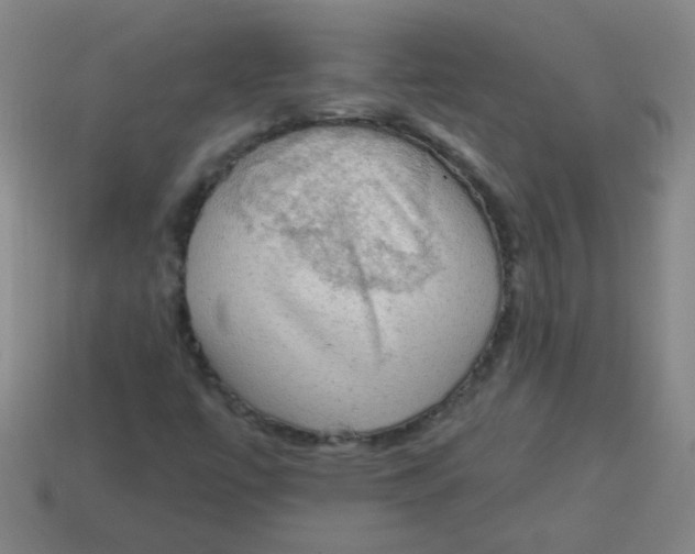 X0000113341447200910131208