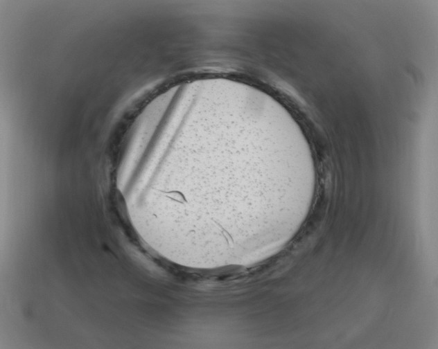 X0000113341448200910131208