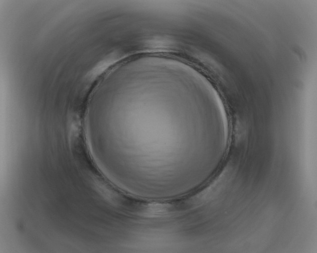 X0000113341449200910131208