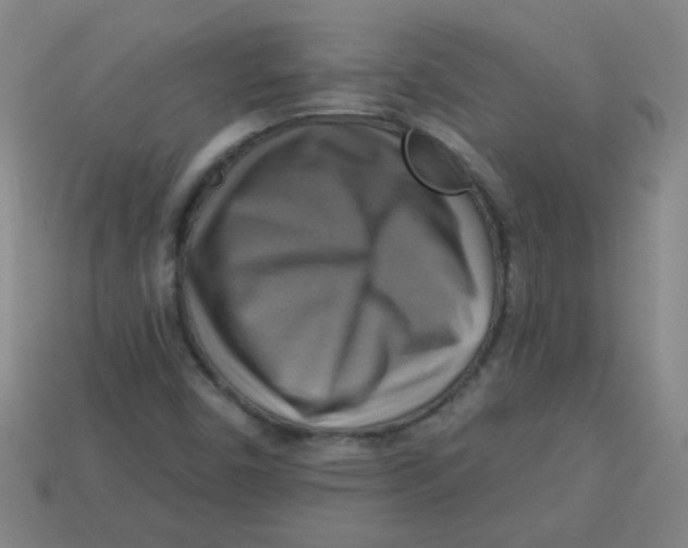 X0000113341450200910131208