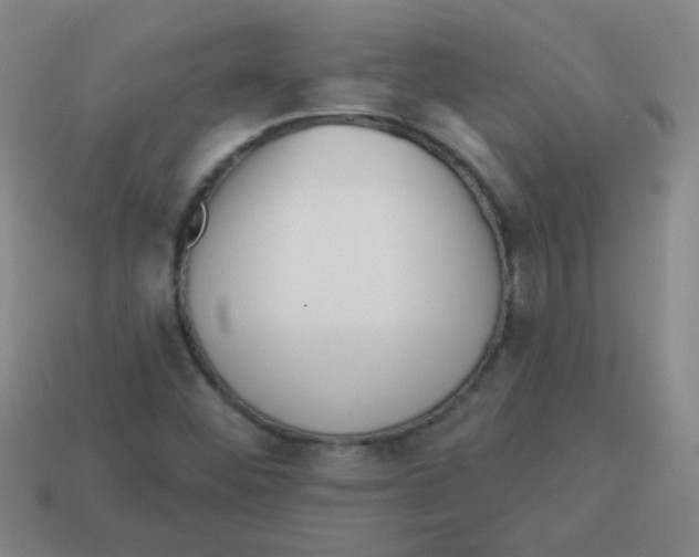 X0000113341452200910131208