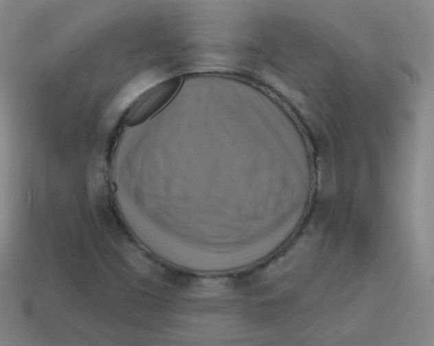 X0000113341453200910131208