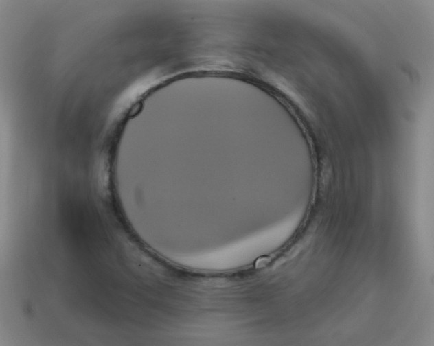 X0000113341455200910131208