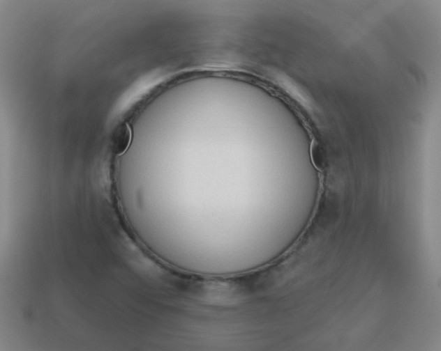 X0000113341456200910131208