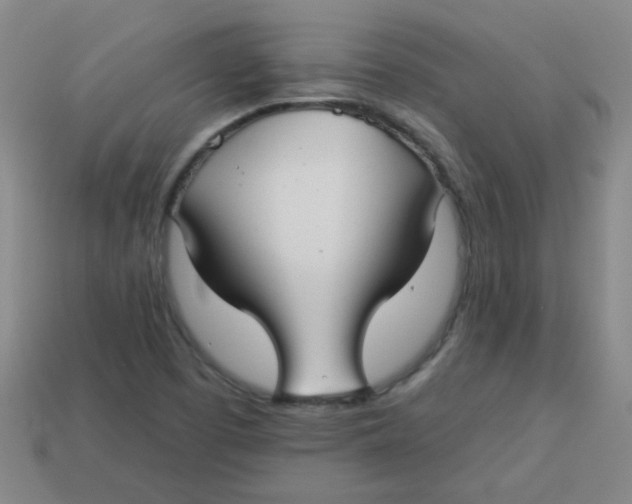 X0000113341457200910131208