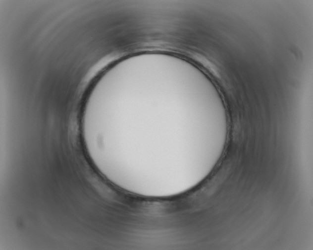 X0000113341458200910131208