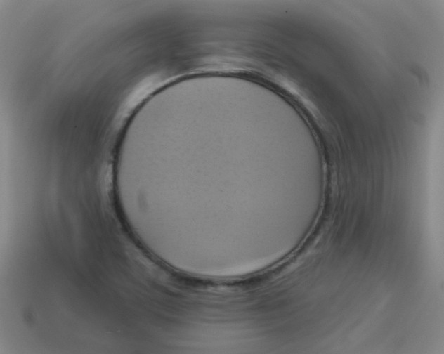 X0000113341459200910131208