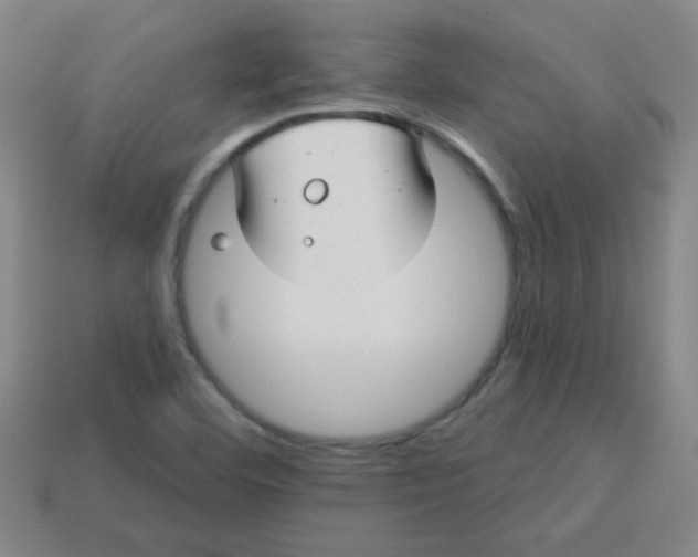 X0000113341460200910131208