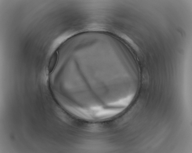 X0000113341461200910131208
