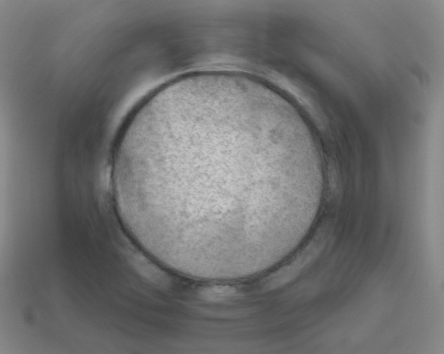 X0000113341462200910131208