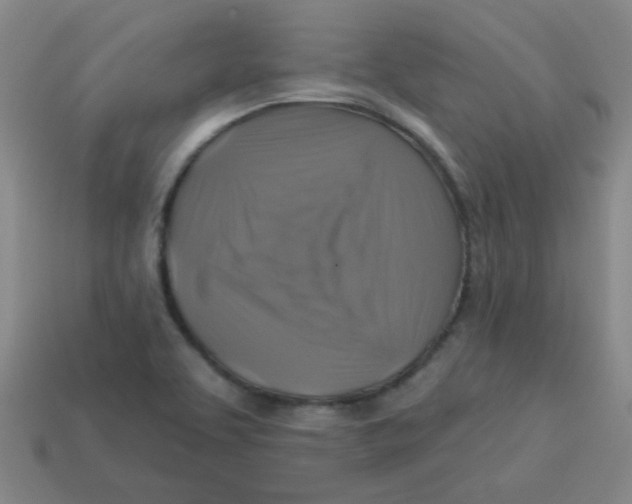 X0000113341463200910131208